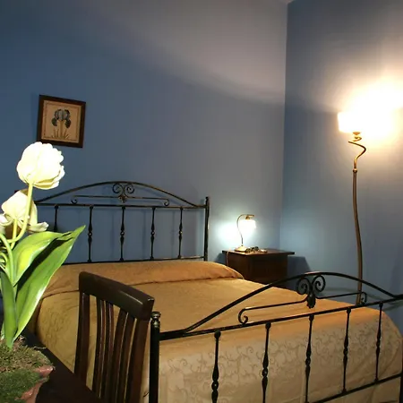 Sorella Luna 3*